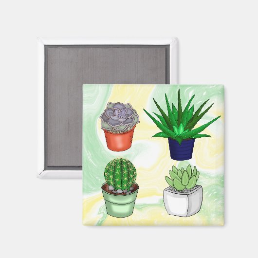 手描き多肉株 マグネット (正面/裏面)