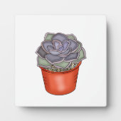 手描き多肉質 フォトプラーク (正面)