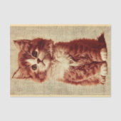 手描き風刺繍のキュートなふわふわ子猫 BY9 デコパージュ 薄葉紙 (正面)
