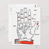 手書きはがき ポストカード (正面/裏面)