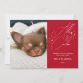 手書きスクリプトすべて穏やかなペットフォトクリスマス シーズンカード (正面)