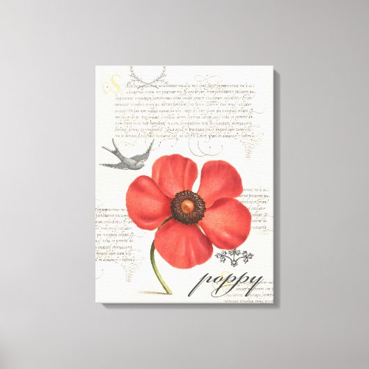 手書きヴィンテージ赤いポピーのキャンバス印刷 キャンバスプリント (正面)