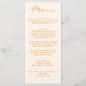 手書絵を描Pinstripesカラフルの複数形 メニュー (正面)