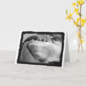 手札の前足 カード (黄色い花)