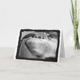 手札の前足 カード