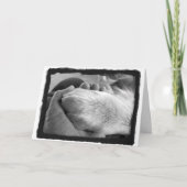 手札の前足 カード (正面)