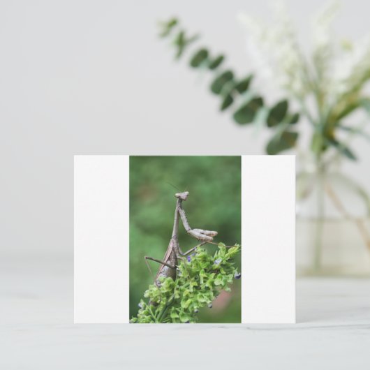 手祈錠 ポストカード (スタンド正面)