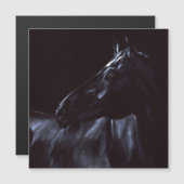 手絵を描エレガント黒馬 マグネット招待状 (正面/裏面)