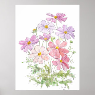 手絵を描紫とピンクのコスモスの花とインク ポスター