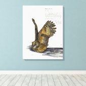 手絵を描絶滅危険フクロウプリントキャンバス キャンバスプリント (インサイチュ (ウッドフロア))