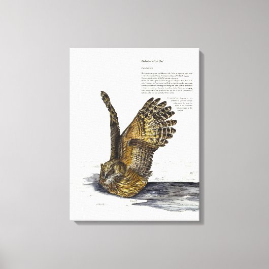 手絵を描絶滅危険フクロウプリントキャンバス キャンバスプリント (正面)