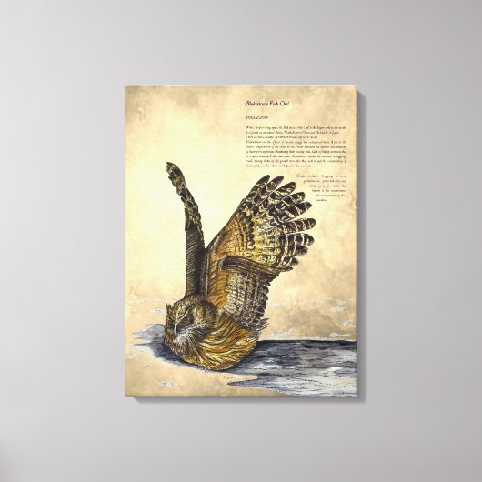 手絵を描絶滅危険フクロウプリントキャンバス キャンバスプリント (正面)