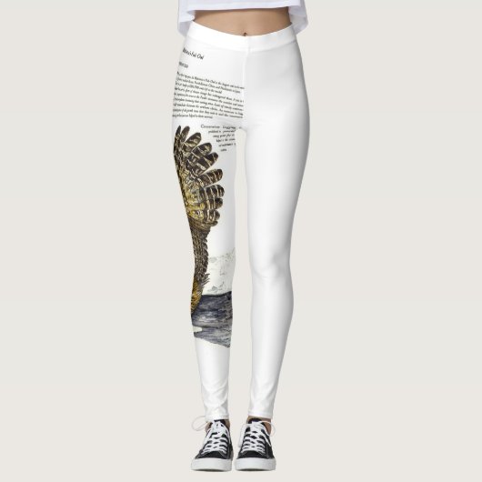 手色彩の鮮やかプリント絶滅危惧種フクロウレギンス レギンス (正面)