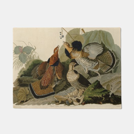 手荒いグロウズオードボンゲームバード ドアマット (正面)