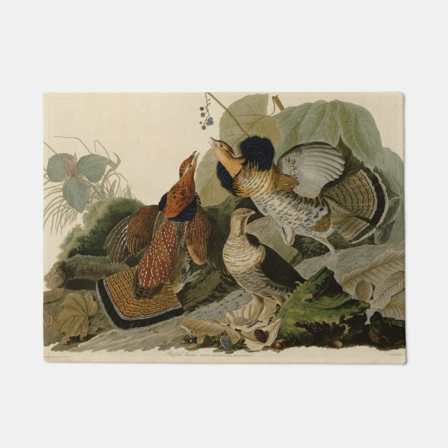 手荒いグロウズオードボンゲームバード ドアマット (正面)