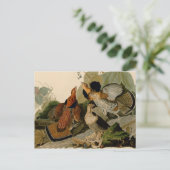 手荒いグロウズオードボンゲームバード ポストカード (スタンド正面)