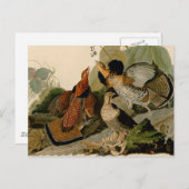 手荒いグロウズオードボンゲームバード ポストカード (正面/裏面)