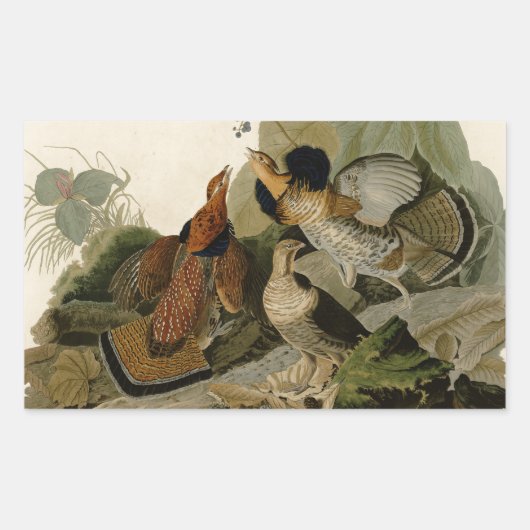 手荒いグロウズオードボンゲームバード 長方形シール (正面)