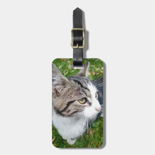 手荷物のためのカスタムなペット写真旅行荷物のラベル ラゲッジタグ (正面縦)