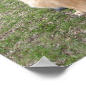 手術室 ポスター (角)