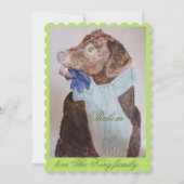 手袋とスカーフを持つ甘い犬 (正面)