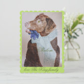 手袋とスカーフを持つ甘い犬 (スタンド正面)