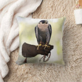 手袋のハヤブサ クッション (ブランケット)