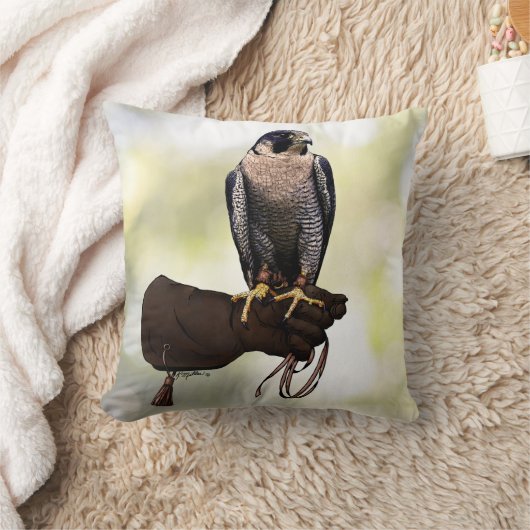 手袋のハヤブサ クッション (ブランケット)