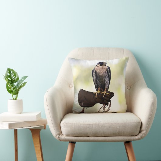 手袋のハヤブサ クッション (椅子)