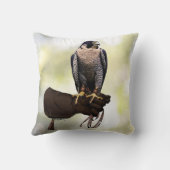 手袋のハヤブサ クッション (裏面)