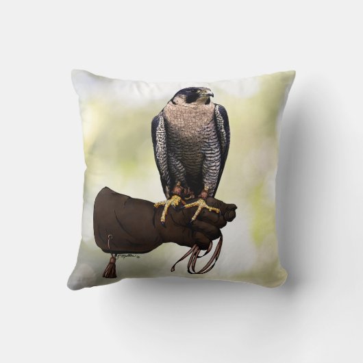 手袋のハヤブサ クッション (裏面)