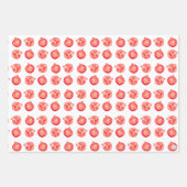 手赤水図解入りの、写真付きの色のザクロ果実 ラッピングペーパーシート (正面2)