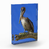 手足のペリカン フォトブロック (左)
