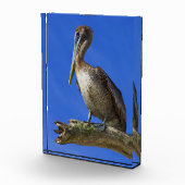 手足のペリカン フォトブロック (右)