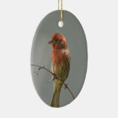 手足の家のフィンチ。 セラミックオーナメント (右)