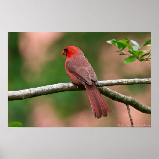 手足の男性のポスターに赤い頭を出す ポスター (正面)