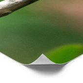 手足の男性のポスターに赤い頭を出す ポスター (角)