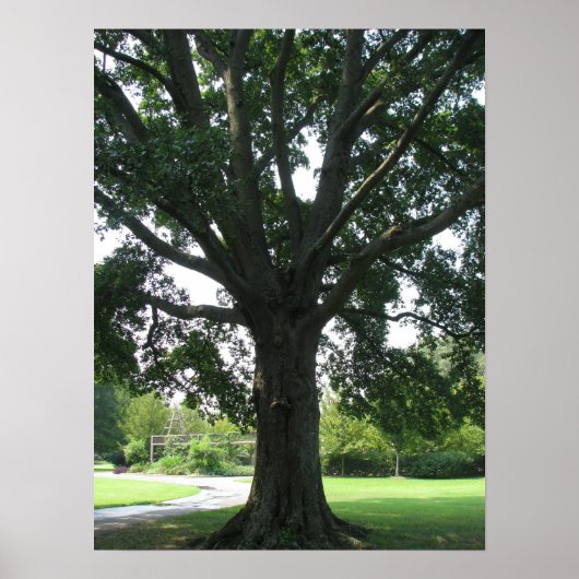 手足 ポスター (正面)