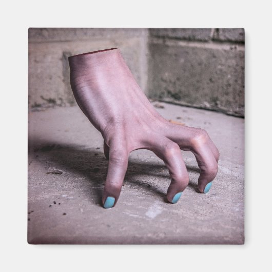 手風変わり磁石 マグネット (正面)