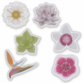 手鮮やかカラフル引きワイルドフラワー&多肉質 シール (正面)