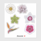 手鮮やかカラフル引きワイルドフラワー&多肉質 シール (シート)