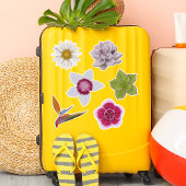 手鮮やかカラフル引きワイルドフラワー&多肉質 シール