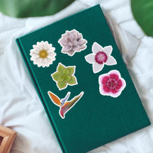 手鮮やかカラフル引きワイルドフラワー&多肉質