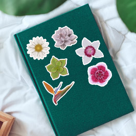 手鮮やかカラフル引きワイルドフラワー&多肉質 シール