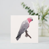 手 – スケッチピンクのオウム、熱帯鳥。 招待状 (スタンド正面)