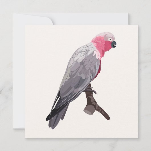 手 – スケッチピンクのオウム、熱帯鳥。 招待状 (正面)