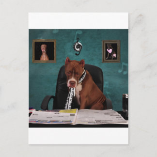 才能を求める ポストカード