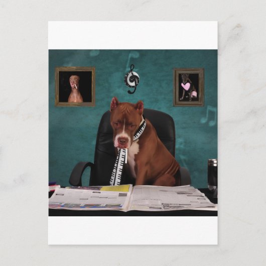 才能を求める ポストカード (正面)