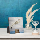 才能豊かなエグルト |フォートマイヤーズビーチ（フロリダ州） フォトプラーク (インサイチュ)