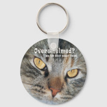 打ちのめされたネリー